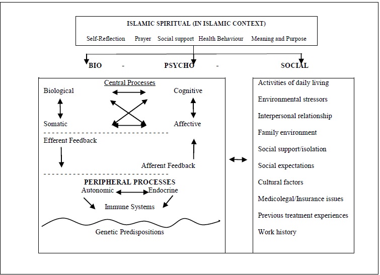 Shows the biopsychosocial-spiritual interactive process according to the health and illness aspects. Source: Adapted from Gatchel (2004).