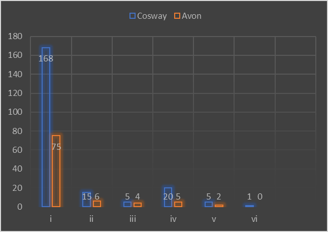 Loanwords in Cosway and Avon catalogues