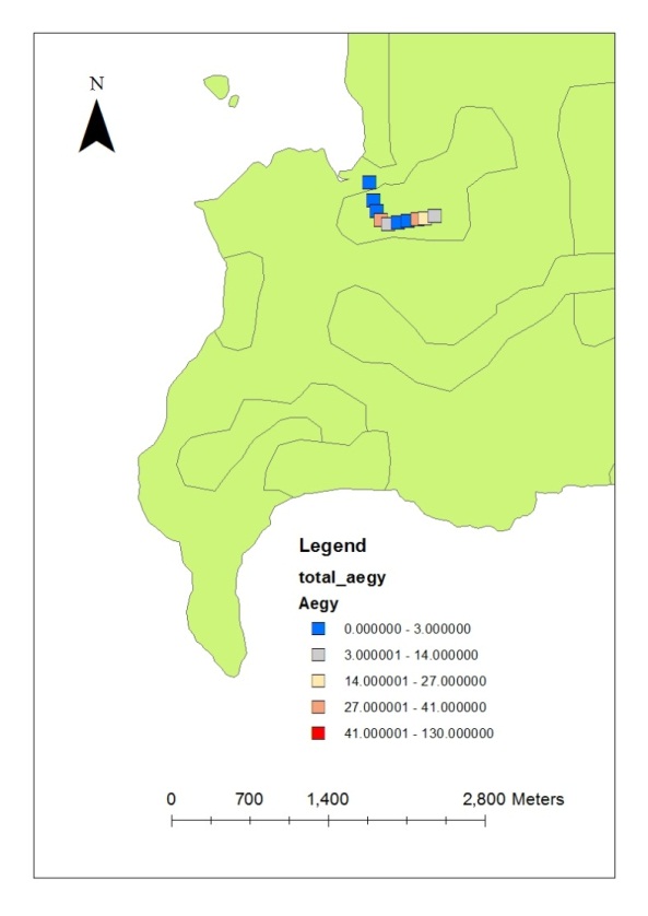 Map of population distribution Aedes agypti at Balik Pulau