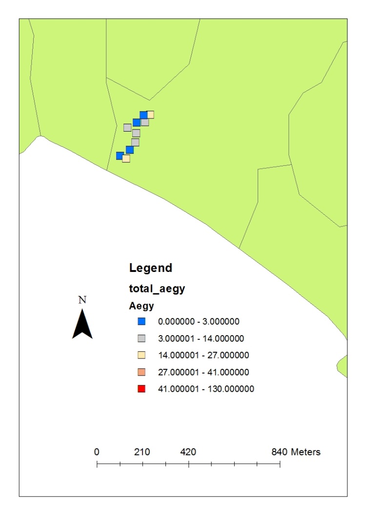 The population distribution of Aedes aegypti at Batu Maung.