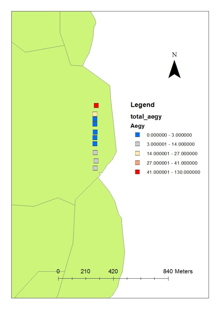 The population distribution of Aedes aegypti at Gelugor. 