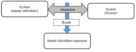 Inmate subculture expansion as a complex system synthetic characteristic (emergence)