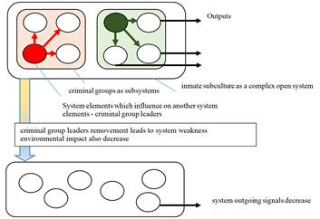 Inmate subculture expansion as a complex system synthetic characteristic (indivisibility
       into parts)