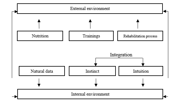 The primary model of development of life force (Source: authors.)