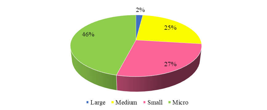 Share of large, medium, small and micro enterprises in the sports industry