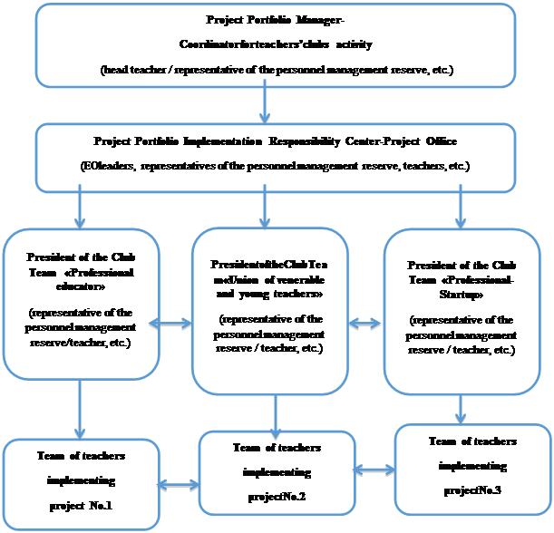 Temporary organizational structure of project portfolio management