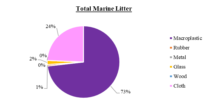 Weights of different categories of marine macro litter