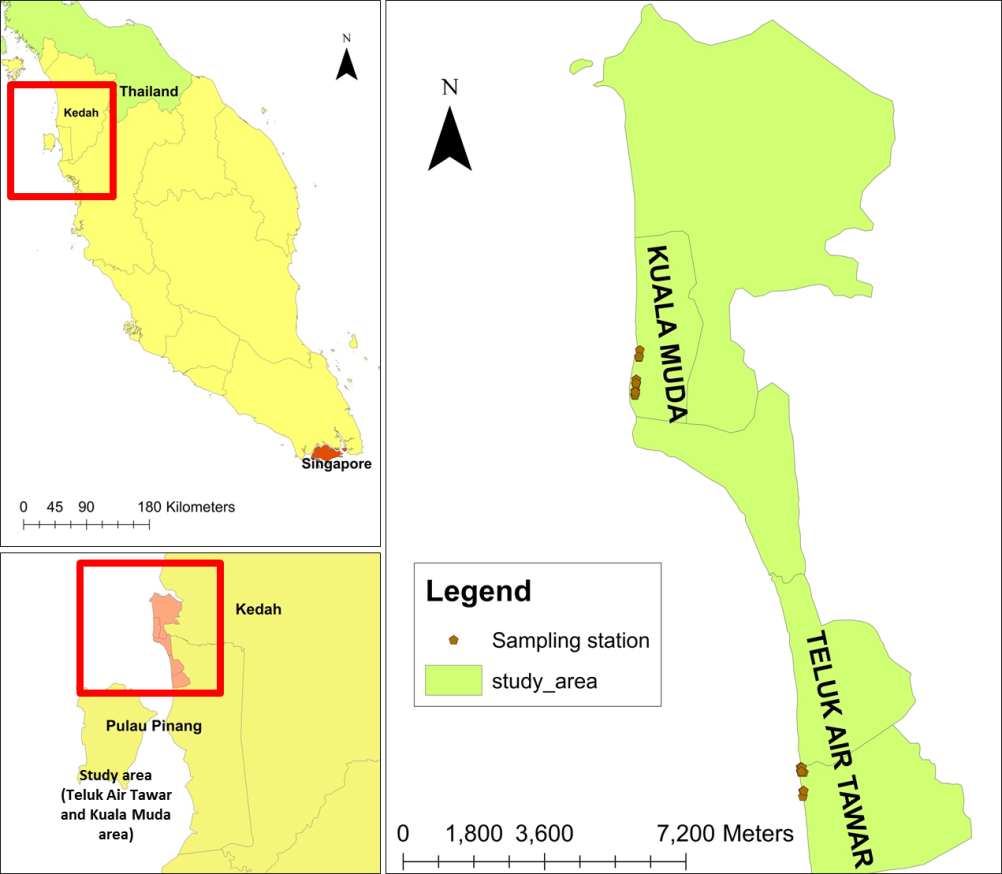 Teluk Air Tawar and Kota Kuala Muda Map