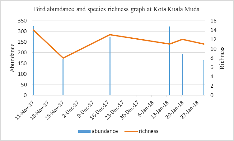 Bird abundance and species richness graph at Kota Kuala Muda