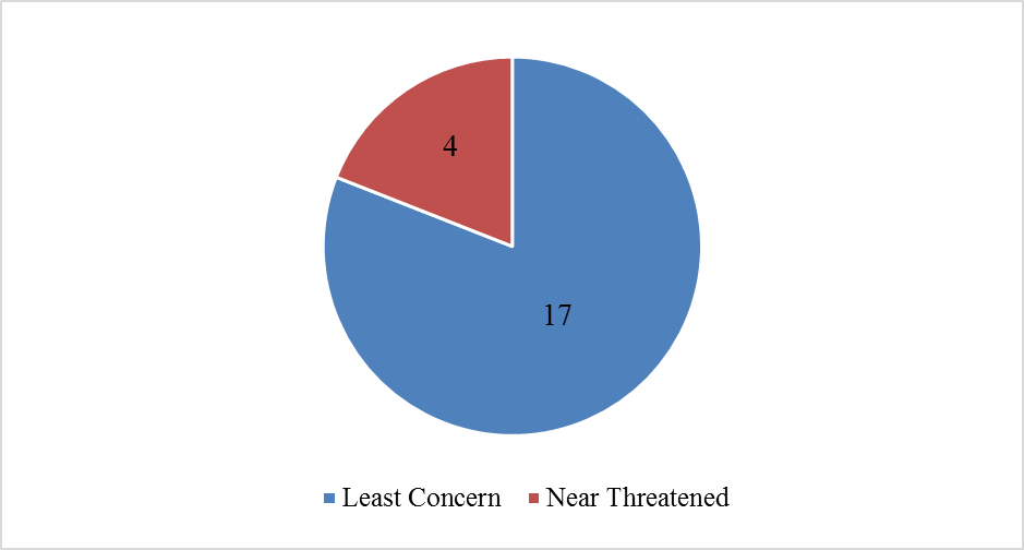 IUCN status of shorebird species number at Kota Kuala Muda