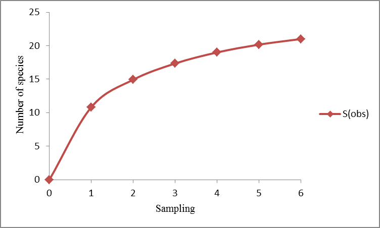 Species accumulation curve at Kota Kuala Muda