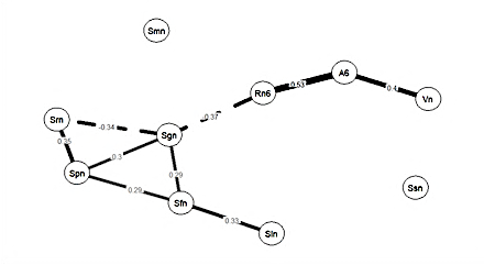 General view of the regularized glasso network, which determines significant partial
       correlations between intelligence indicator Rn6, performance Vn, giftedness A6 and
       self-regulation: Sgn, Smn, Spn, Srn, Sfn, Ssn, Sln, (λ = 0.01, γ = 0.25).