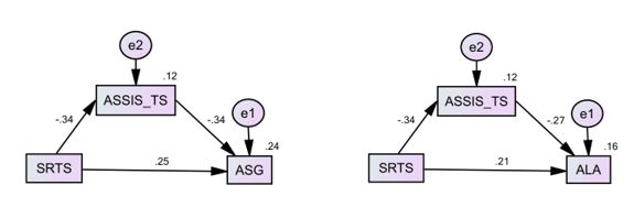 Mediator role of the general level of acculturation stress