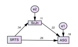 Mediator role of copying strategies