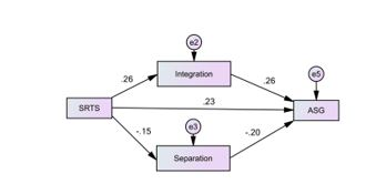 Mediator role of acculturation facilities