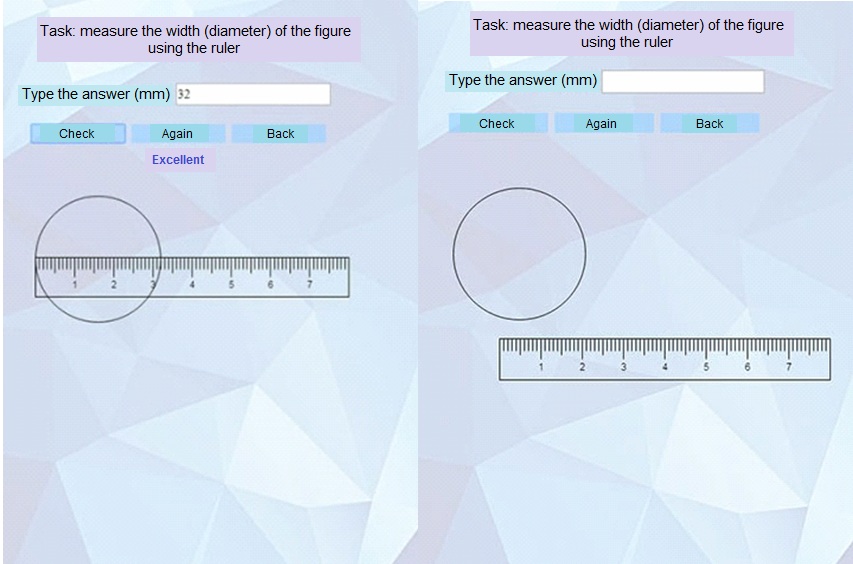 Interactive simulator of the web-application for testing student skills (before and after
filling-in)