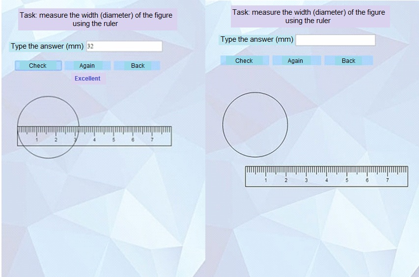 Interactive simulator of the web-application for testing student skills (before and after
      filling-in)