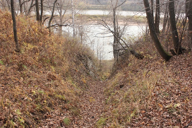 Downhill trail to the river