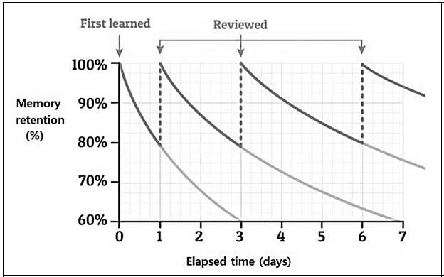 Figure 04. Ebbinghaus' forgetting curve and review cycle (Chun & Heo, 2018)