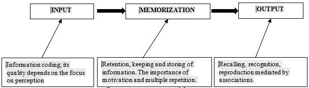 Figure 01. Phases of memory processes