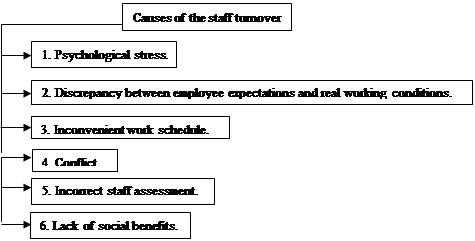  Figure 01. Causes of the staff turnover