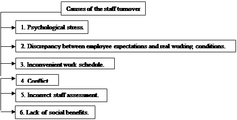 Figure 01. Causes of the staff turnover