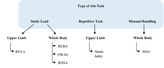 Division of tools according to body parts and work tasks
