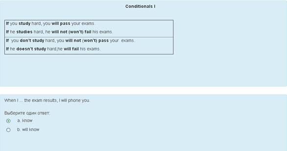 Grammar test (topic – Conditionals 1, task – choose one option)