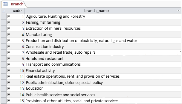 The “Branch” table (compiled by the authors)