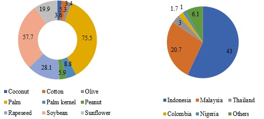 Global structure of palm oil production