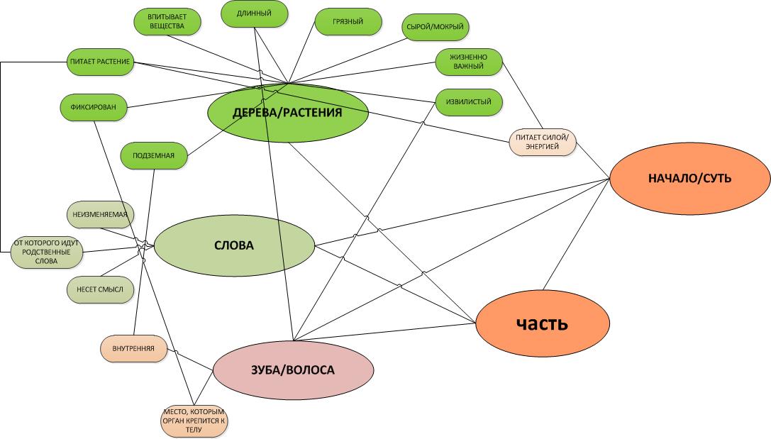 The semantic network of the word ‘корень’ based on the participants’ answers given in the 1st experiment stage described in the article by Pesina et al. (2019). We can see that clusters of dependent semantic components (часть зуба/ слова, начало) have many links with the ‘parent’ group (часть дерева/растения). The components часть и начало can be regarded as integral or dominant.