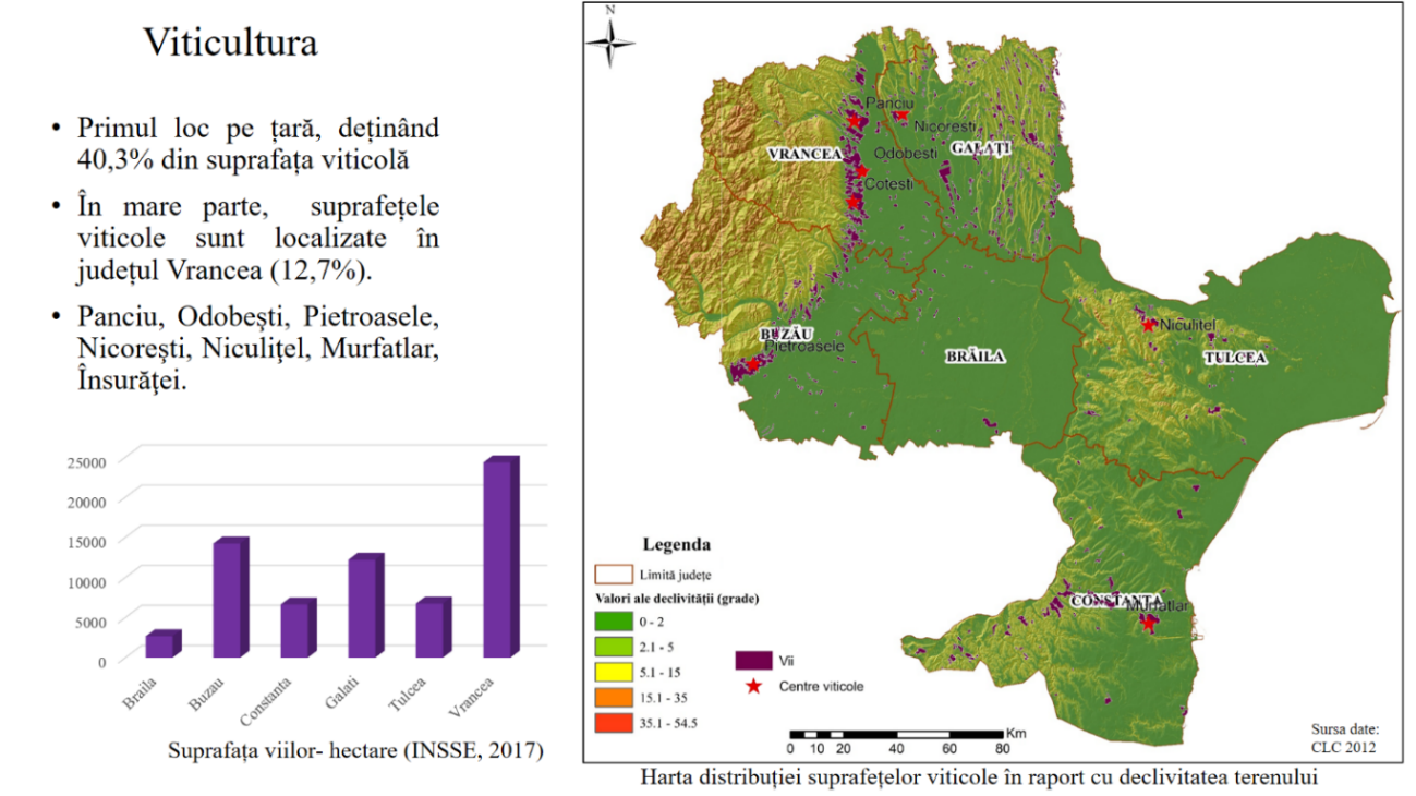 Slide within the PowerPoint presentation (in Romanian), realised by the M.Sc. student