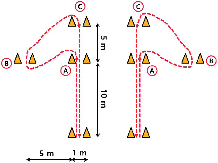 Arrowhead Agillity Drill