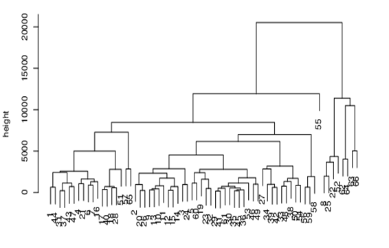 Dendrogram of Russian regions after hierarchical clustering using the Euclidean metric