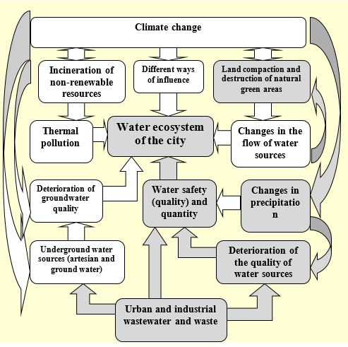 Model of the impact of external factors on the city's water ecosystem
