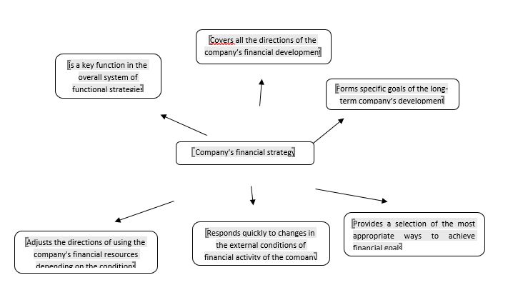 Characteristics of the company's financial strategy. Source: authors.