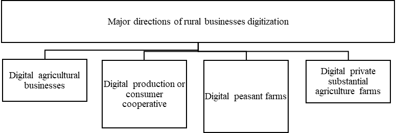 Figure 1. Major directions of rural businesses digitization 