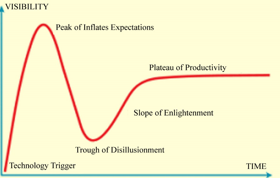  Gartner Maturity Cycle (Bushmelev, 2013) 