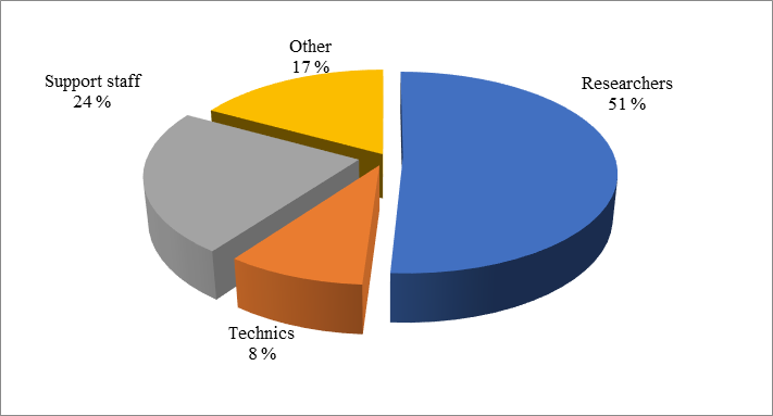 The structure of labor resources engaged in the formation and development of Russia's
      intellectual capacity (author’s calculations based on the data from National Research
      University Higher School of Economics (Gokhberg et al.,
       2019))