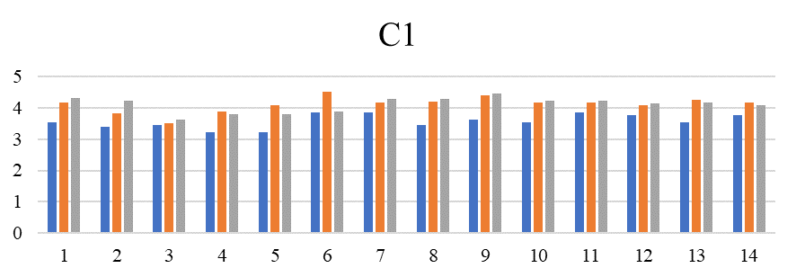 Professional assistance in reflection and decision-making strategies