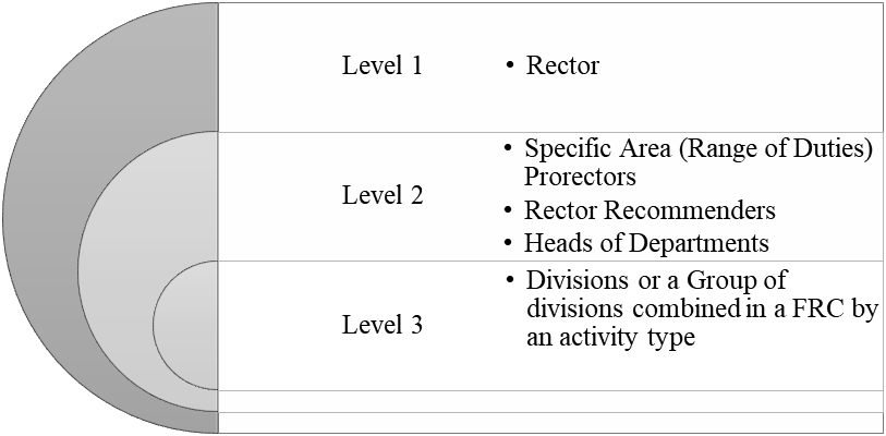 VSUES Levels of Financial Structure