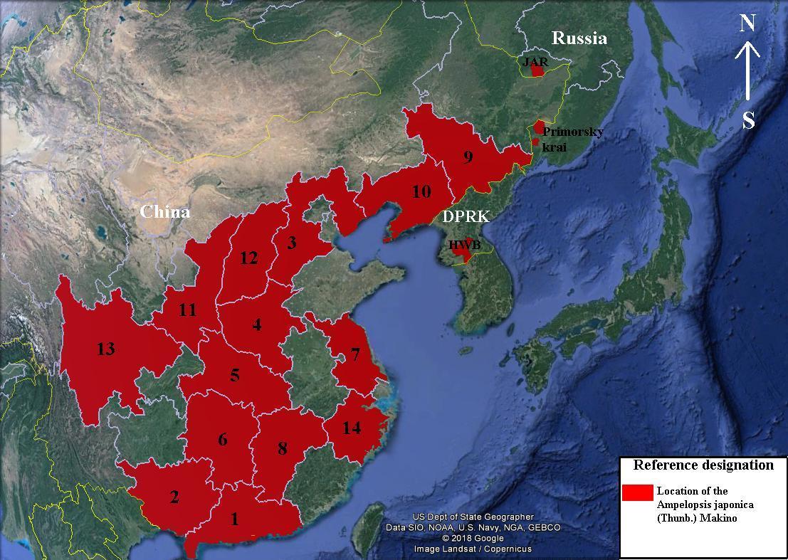 Location of Ampelopsis japonica China: 1. Guangdong, 2. Guangxi, 3. Hebei, 4. Henan, 5. Hubei, 6. Hunan, 7. Jiangsu, 8. Jiangxi, 9. Jilin, 10. Liaoning, 11. Shaanxi, 12. Shanxi, 13. Sichuan, 14. Zhejiang. DPRK – Democratic people’s Republic of Korea (HWB – Hwanghaebuk-do). JAR – Jewish Autonomous region