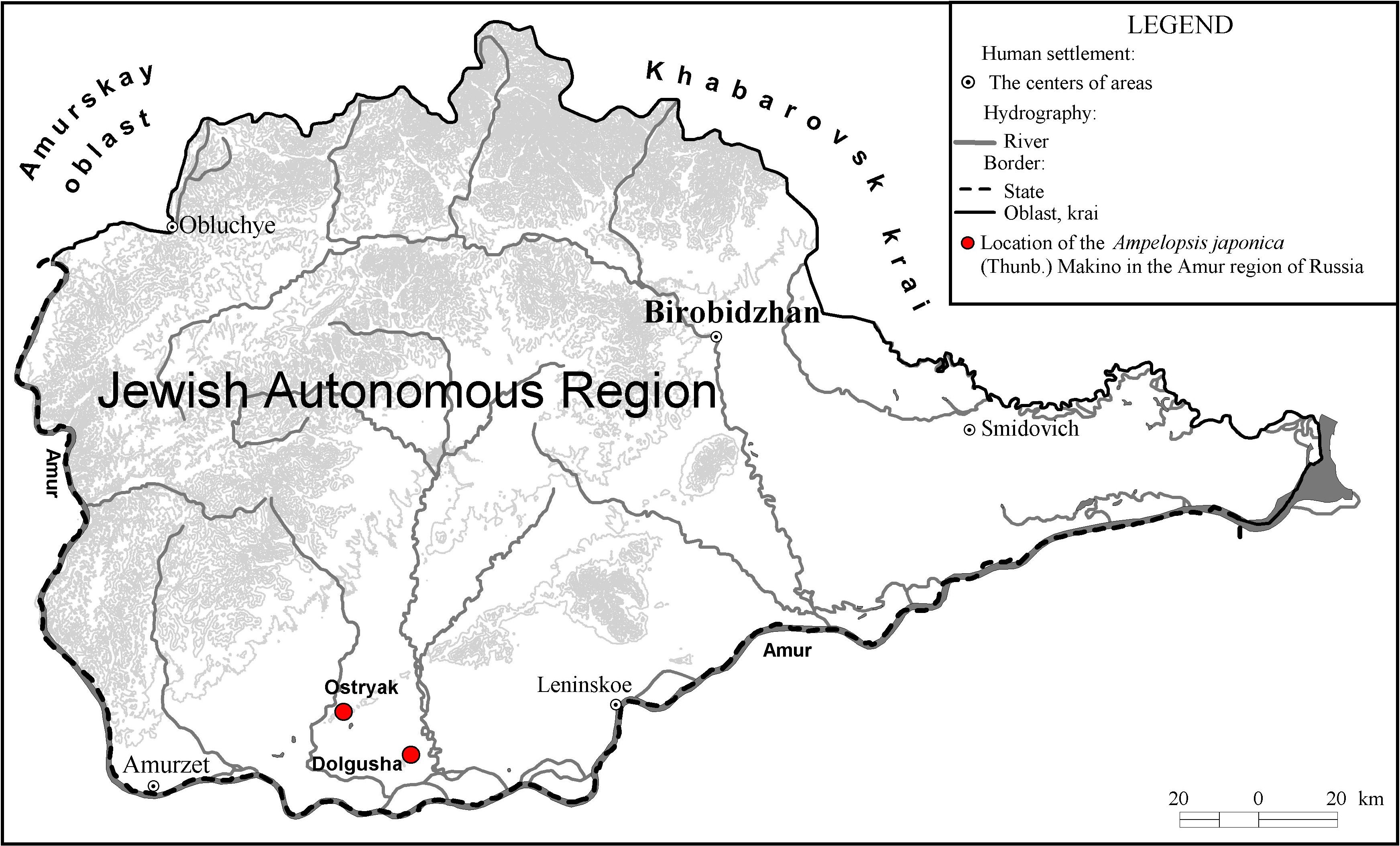 Location of Ampelopsis japonica in the Russian Amur region.