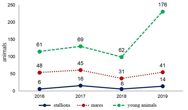 Dynamics of import of horses to the Russian Federation