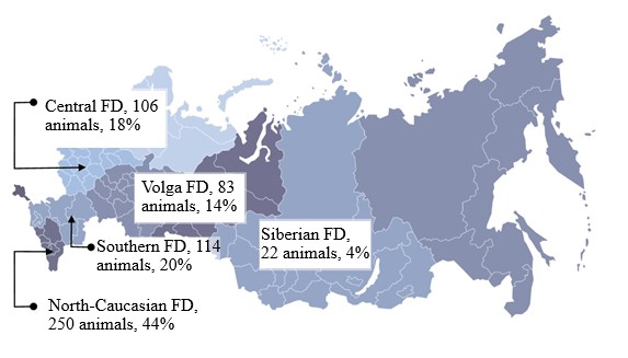 Distribution of imported horses by federal districts of the Russian Federation