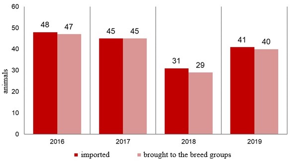 Dynamics of the number of mares imported to the Russian Federation