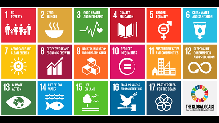 The 17 Sustainable Development Goals (SDGs) (Source: UN)