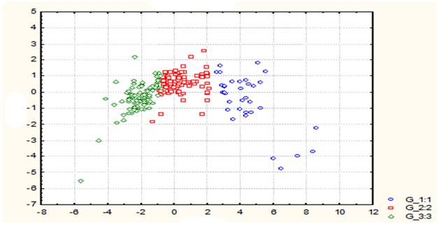 Scheme of cluster organization of selected variables