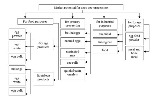 Assortment model of the MP of egg processing products