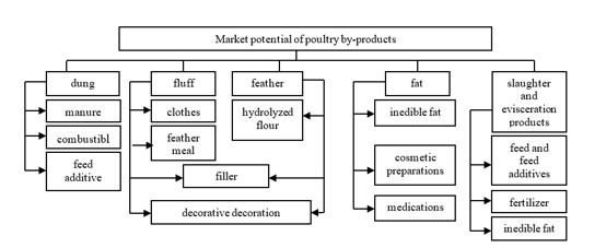 Assortment model of the MP for processing poultry by-products